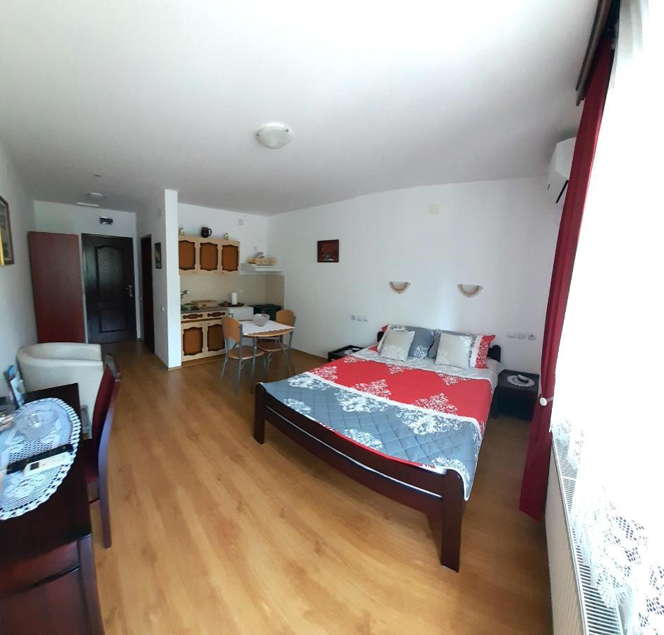 Apartmani "Vila Jelena" 아란젤로바츠 외부 사진