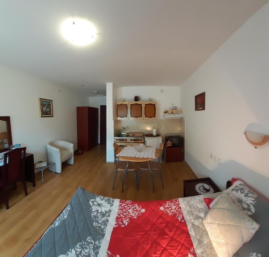 Apartmani "Vila Jelena" 아란젤로바츠 외부 사진