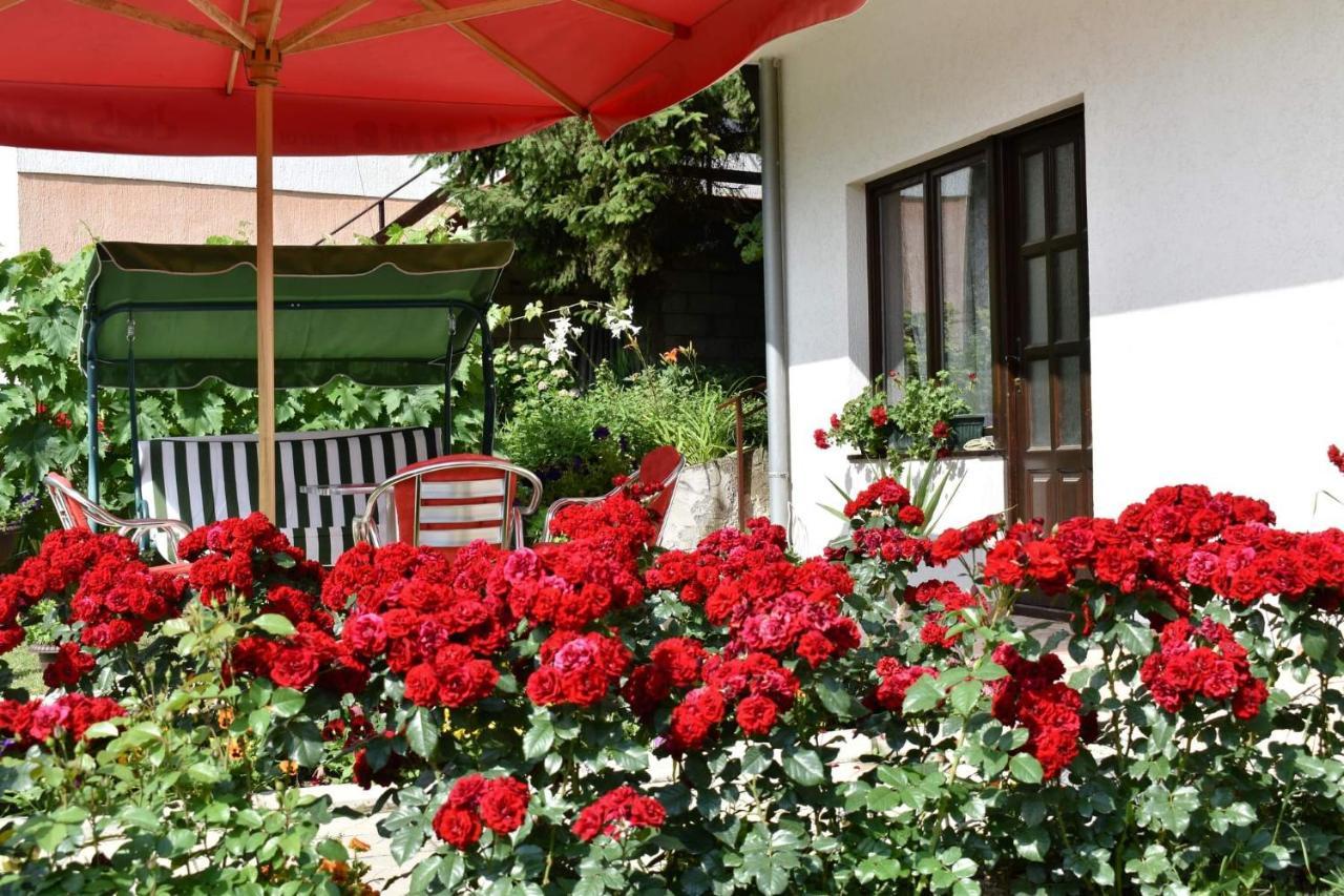 Apartmani "Vila Jelena" 아란젤로바츠 외부 사진
