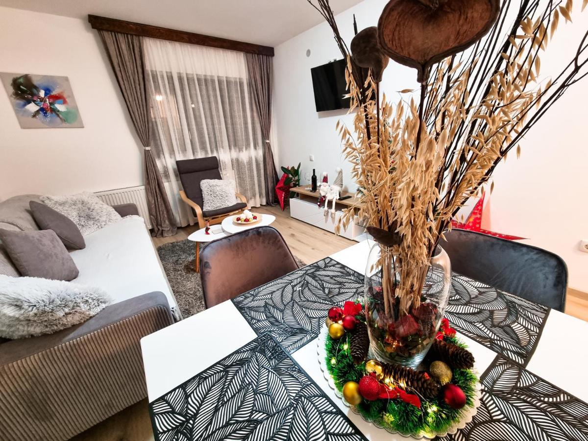 Apartmani "Vila Jelena" 아란젤로바츠 외부 사진