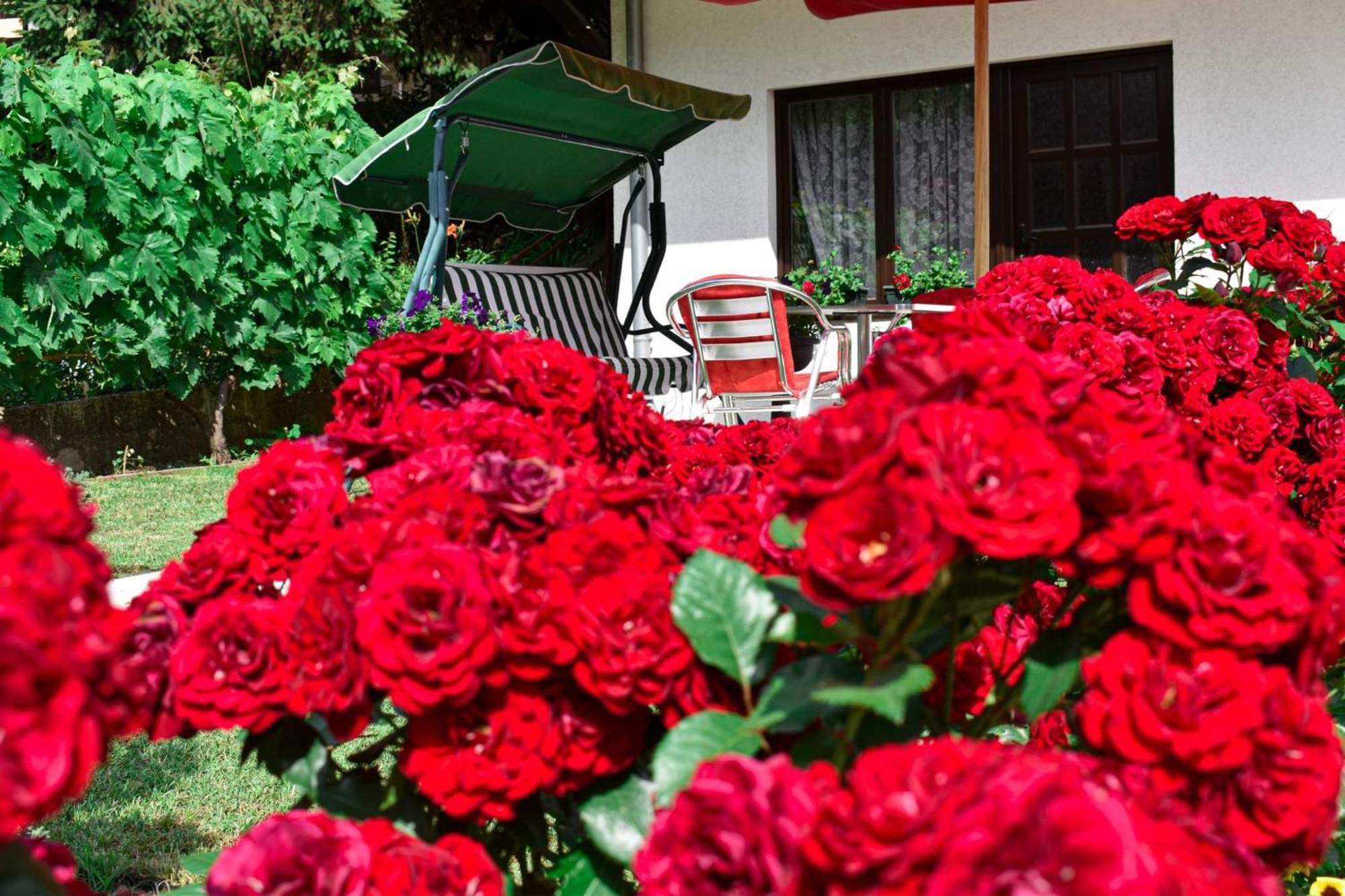 Apartmani "Vila Jelena" 아란젤로바츠 객실 사진