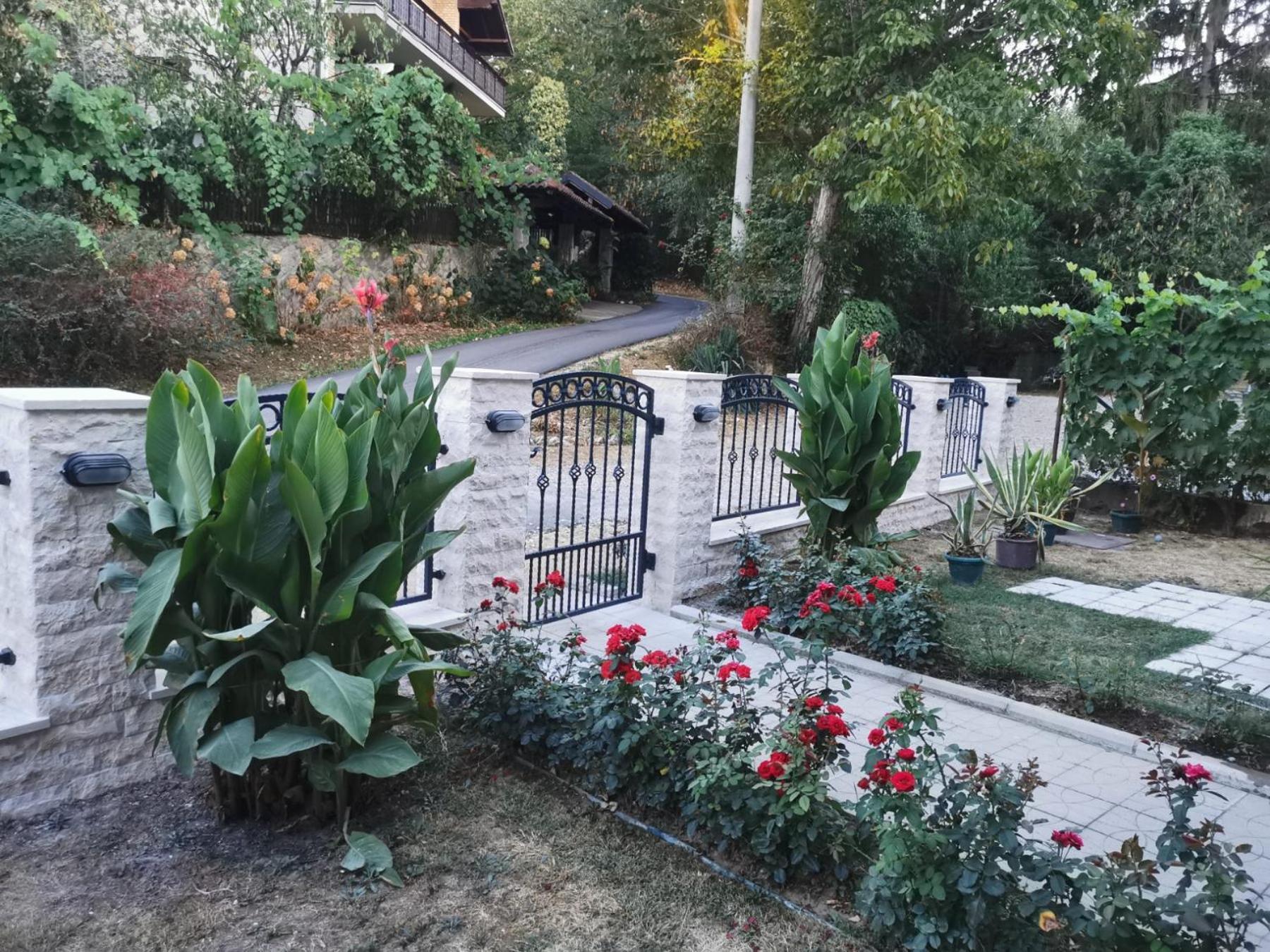 Apartmani "Vila Jelena" 아란젤로바츠 외부 사진
