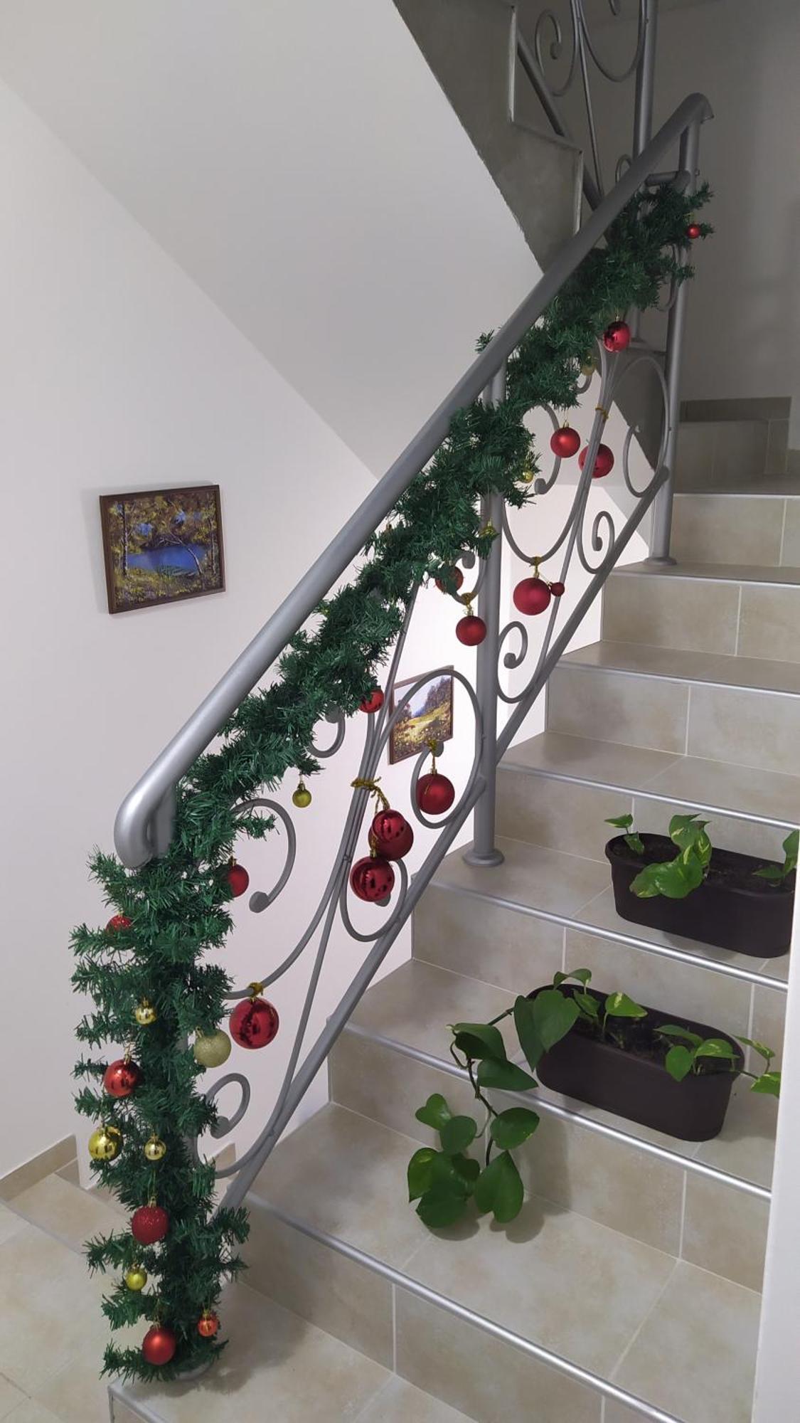 Apartmani "Vila Jelena" 아란젤로바츠 외부 사진