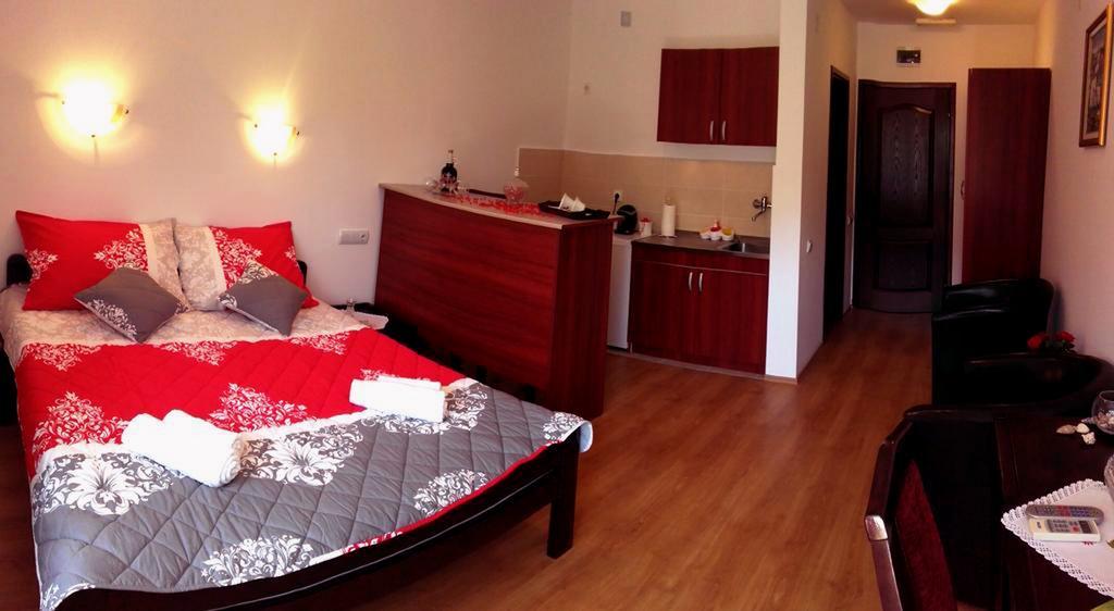 Apartmani "Vila Jelena" 아란젤로바츠 외부 사진