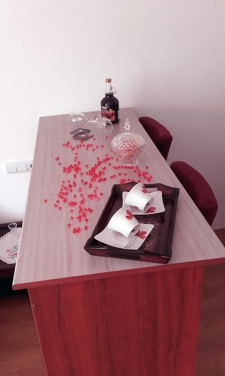 Apartmani "Vila Jelena" 아란젤로바츠 외부 사진