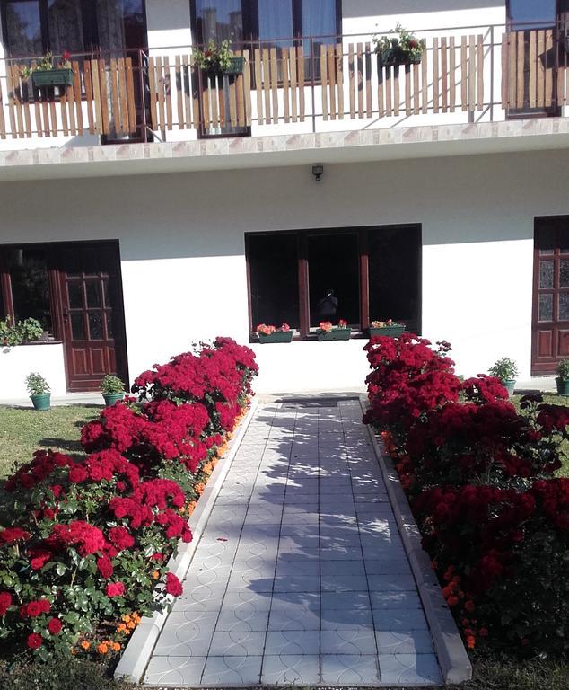 Apartmani "Vila Jelena" 아란젤로바츠 외부 사진